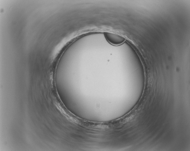 X0000053071503200508011926