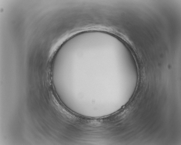 X0000053071504200508011926