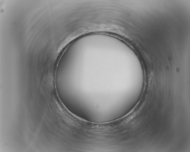 X0000053071505200508011926