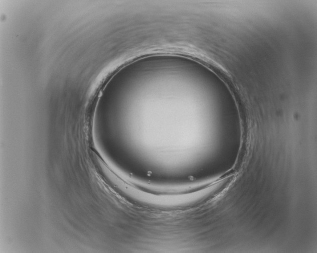 X0000053071506200508011926