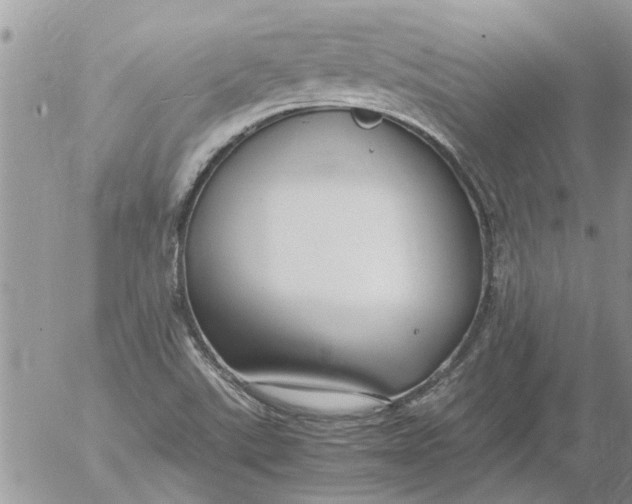 X0000053071507200508011926