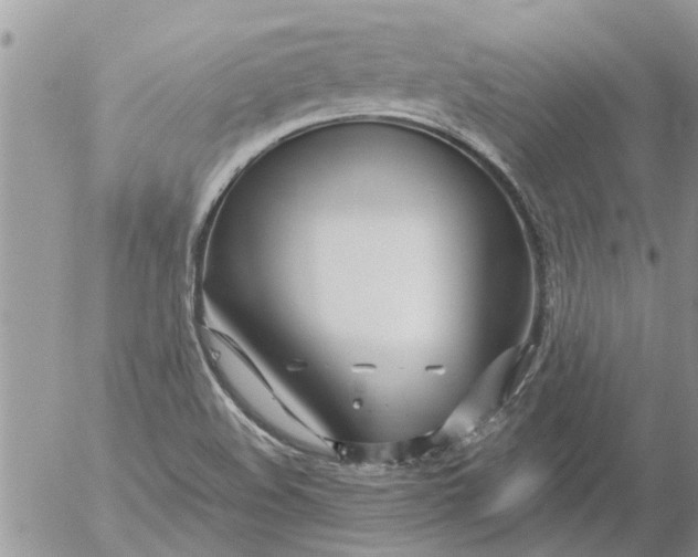 X0000053071508200508011926