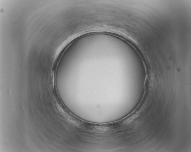 X0000053071509200508011926