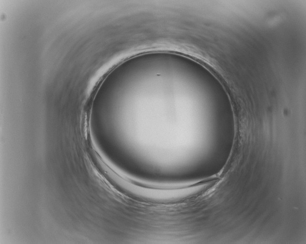 X0000053071510200508011926