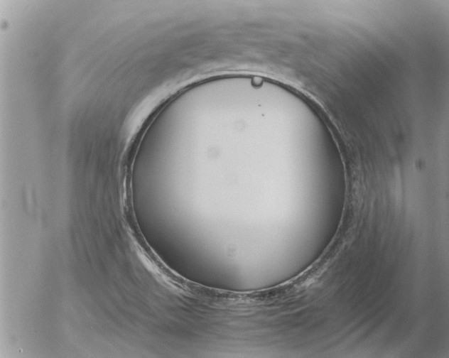 X0000053071511200508011926