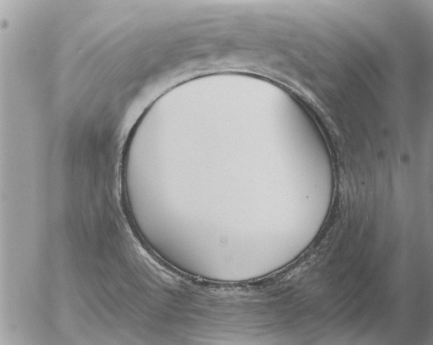 X0000053071512200508011926