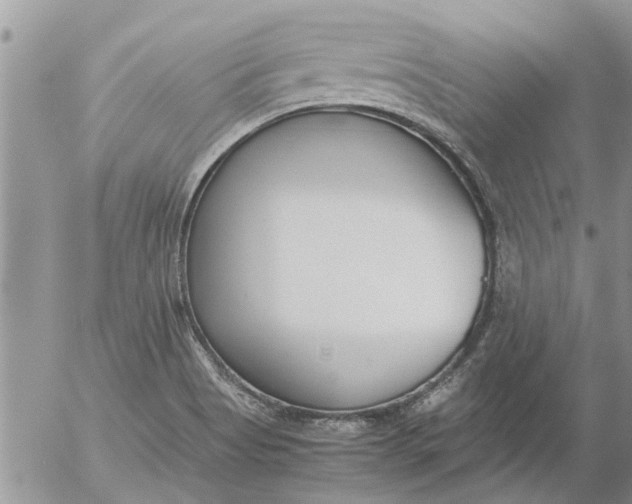 X0000053071513200508011926