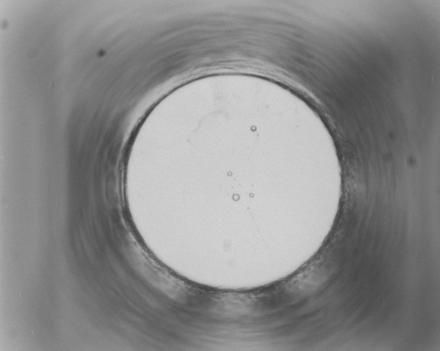 X0000053071514200508011927