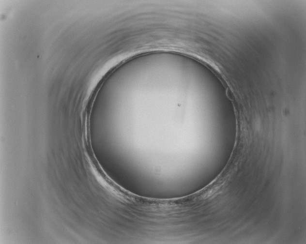 X0000053071515200508011927