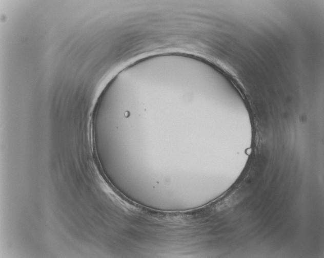 X0000053071516200508011927