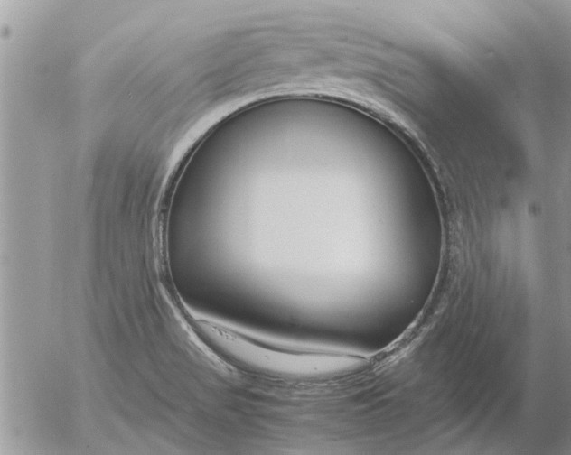 X0000053071517200508011927