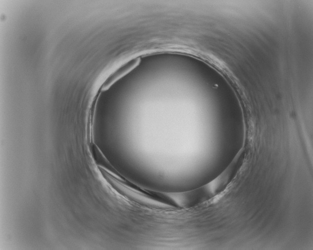 X0000053071520200508011927