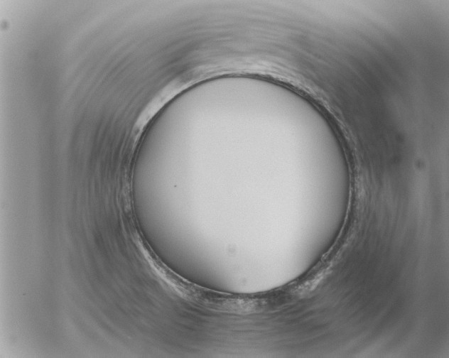 X0000053071521200508011927