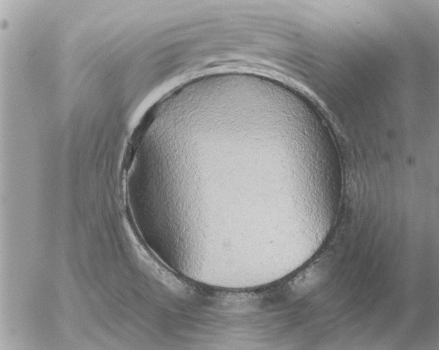 X0000053071522200508011927