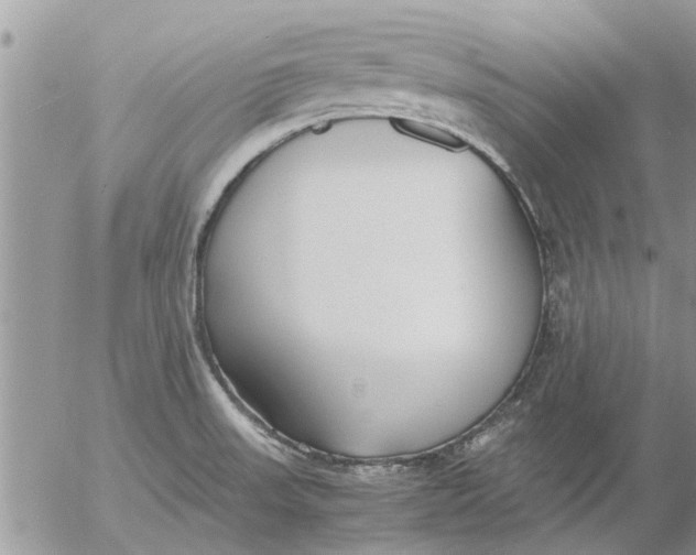 X0000053071523200508011927