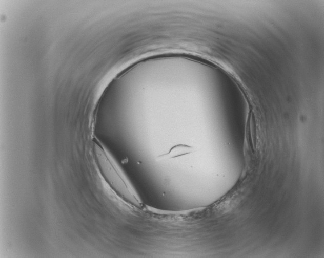 X0000053071524200508011927