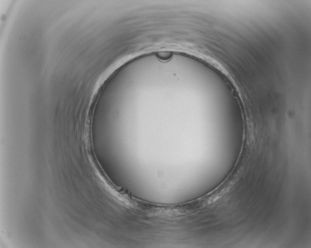 X0000053071525200508011927