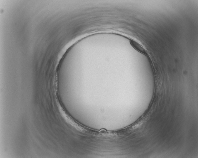 X0000053071526200508011927