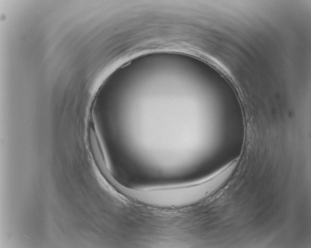 X0000053071528200508011927