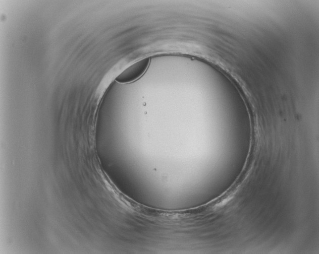 X0000053071529200508011927