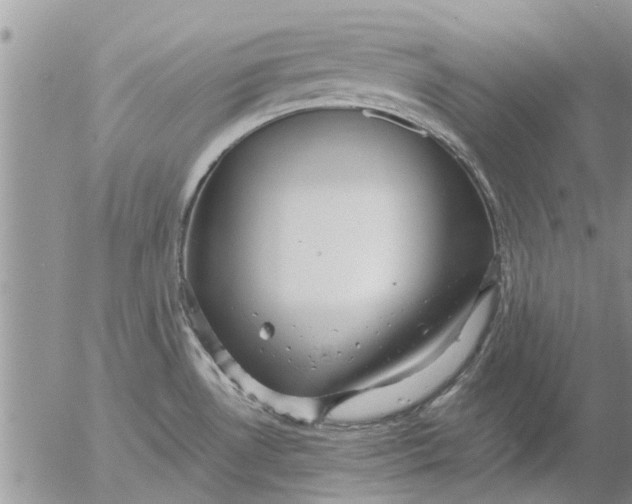 X0000053071530200508011927