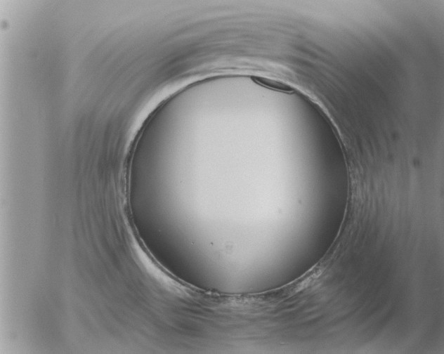 X0000053071531200508011927