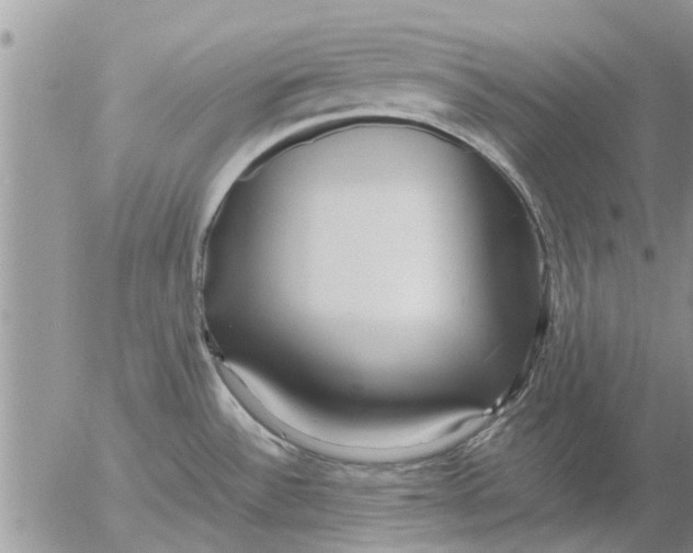 X0000053071532200508011927