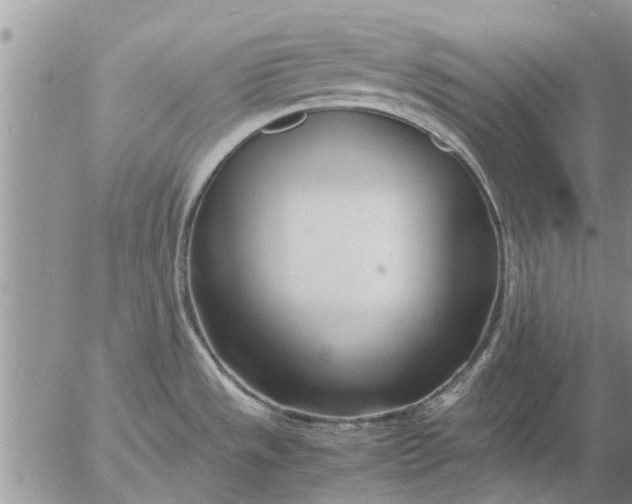 X0000053071533200508011927