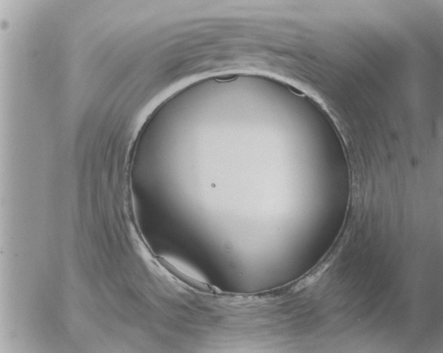 X0000053071534200508011927