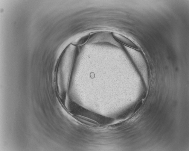 X0000053071535200508011927