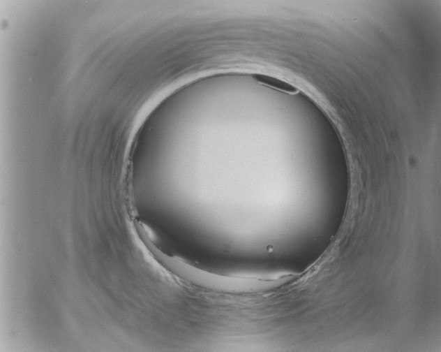 X0000053071536200508011927