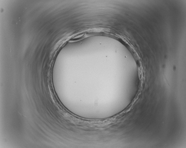 X0000053070001200508081232