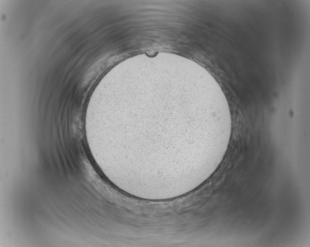 X0000053070002200508081232