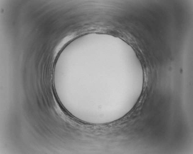 X0000053070003200508081231