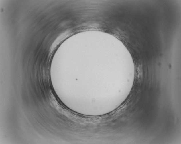 X0000053070004200508081231