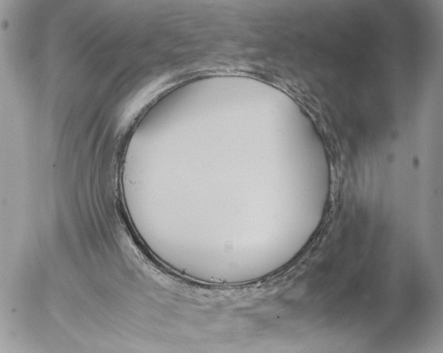 X0000053070005200508081231