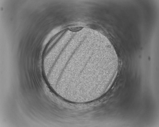 X0000053070006200508081231