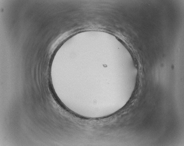 X0000053070007200508081231