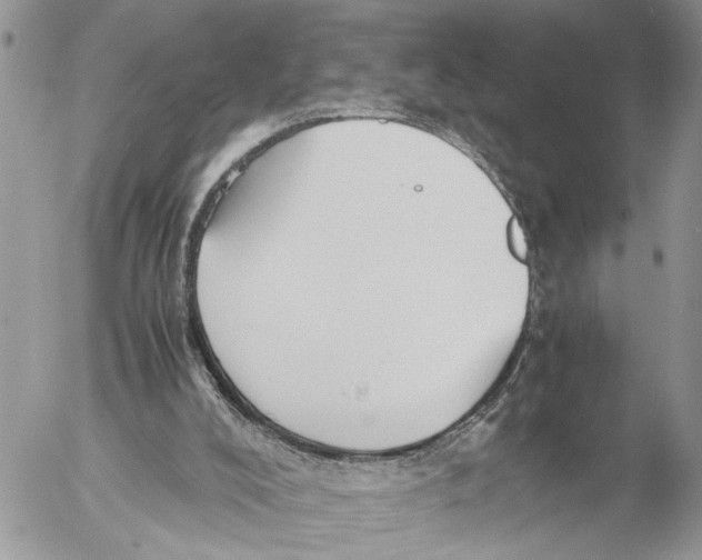 X0000053070008200508081231