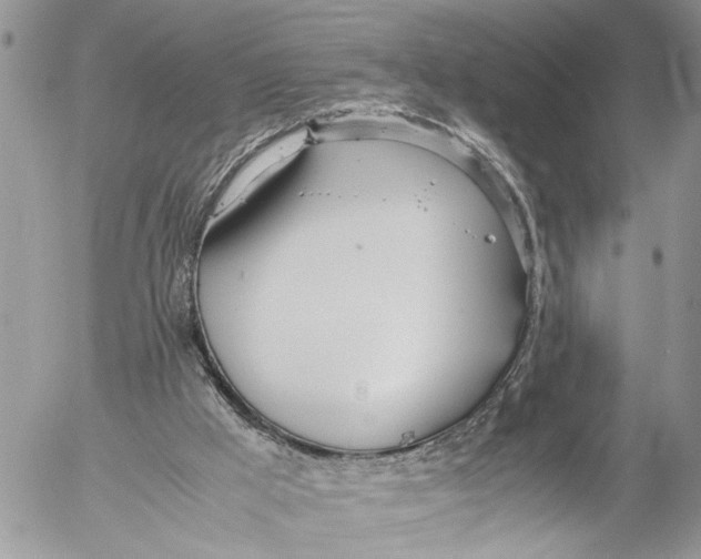 X0000053070009200508081231