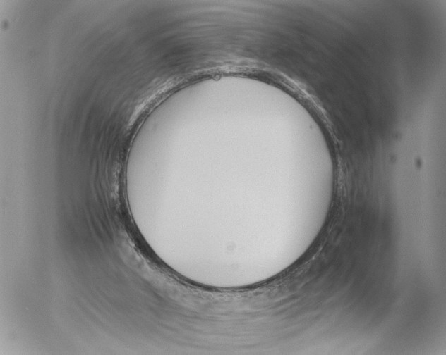 X0000053070010200508081231