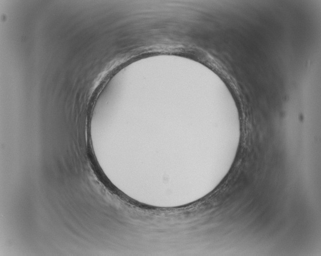 X0000053070011200508081231