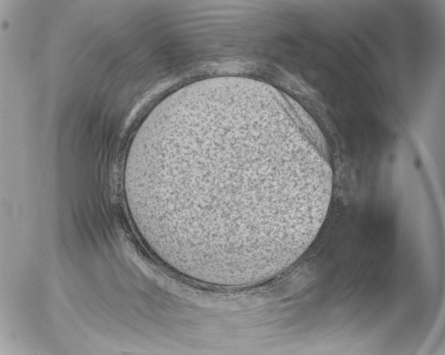 X0000053070012200508081231