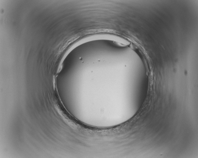 X0000053070013200508081231