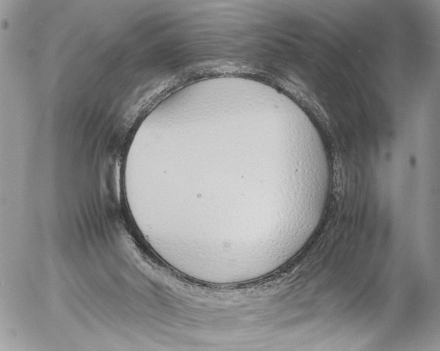 X0000053070014200508081231