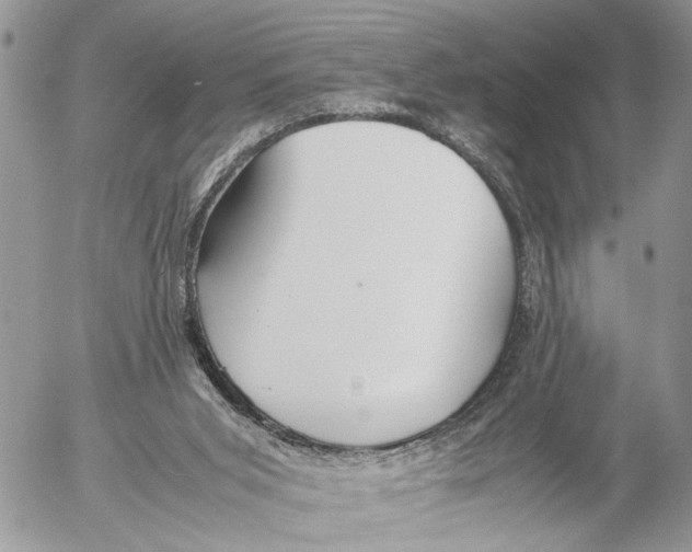 X0000053070015200508081231