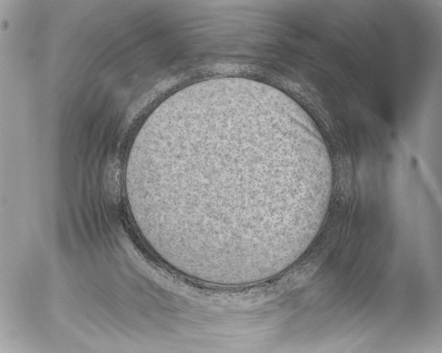 X0000053070016200508081231