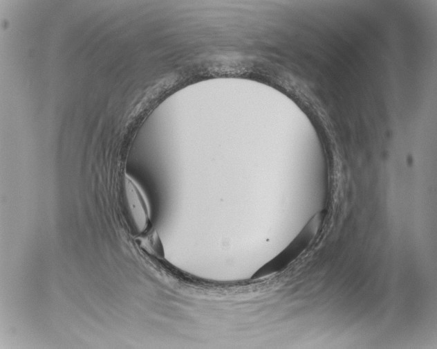 X0000053070017200508081231