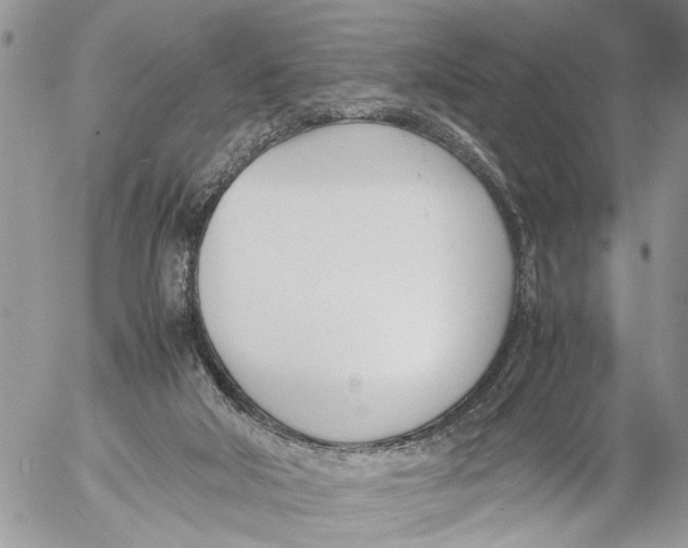 X0000053070018200508081231