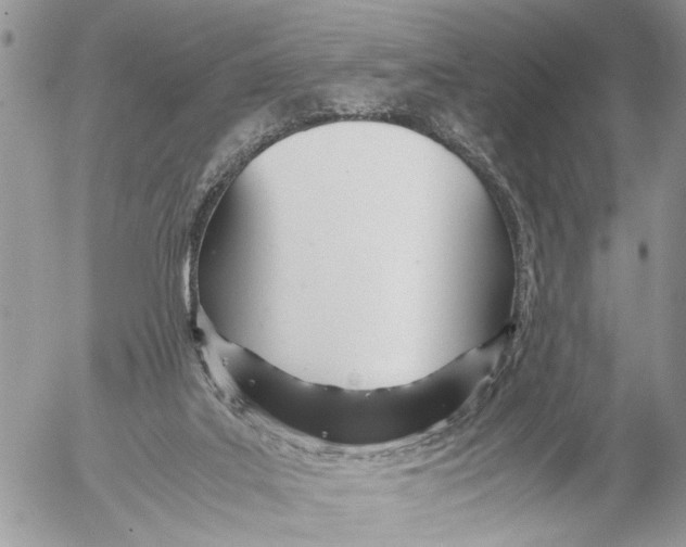 X0000053070019200508081231